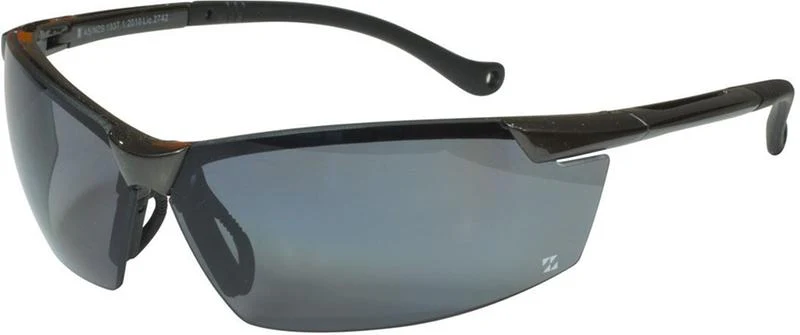 3SP671 SAFETY SPECTACLE MASTER ORION POLARISED AS COATED LENS - CPC Painting, Inc.